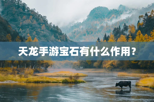 天龙手游宝石有什么作用？