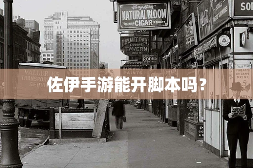 佐伊手游能开脚本吗？