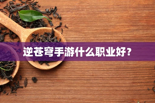 逆苍穹手游什么职业好？