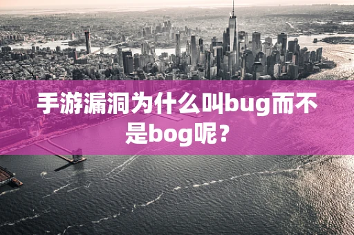 手游漏洞为什么叫bug而不是bog呢？