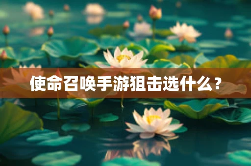 使命召唤手游狙击选什么？