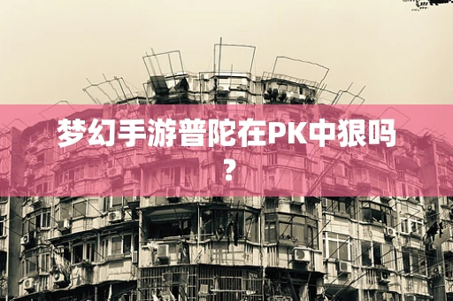 梦幻手游普陀在PK中狠吗？