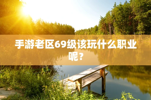 手游老区69级该玩什么职业呢？