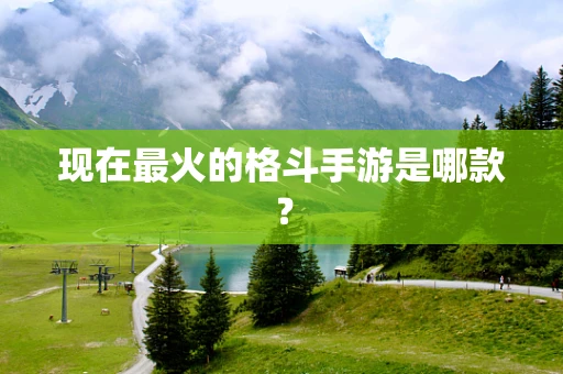 现在最火的格斗手游是哪款？