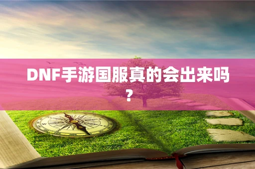 DNF手游国服真的会出来吗？