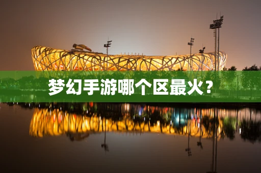 梦幻手游哪个区最火？