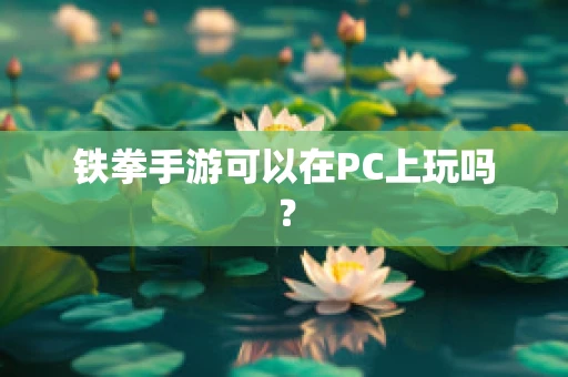 铁拳手游可以在PC上玩吗？
