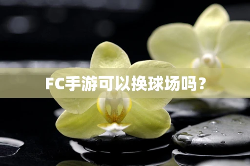 FC手游可以换球场吗？