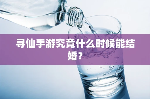 寻仙手游究竟什么时候能结婚？