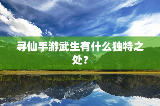 寻仙手游武生有什么独特之处？