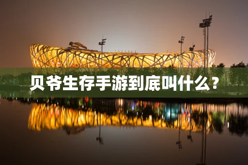 贝爷生存手游到底叫什么？