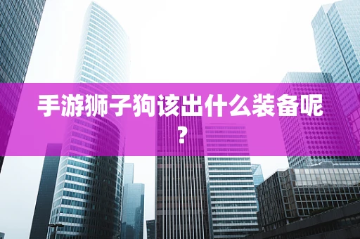 手游狮子狗该出什么装备呢？