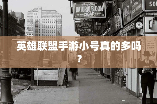 英雄联盟手游小号真的多吗？