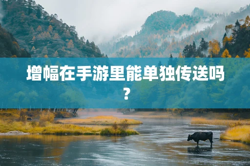 增幅在手游里能单独传送吗？
