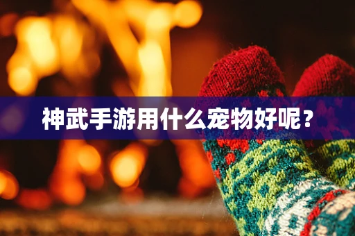 神武手游用什么宠物好呢？