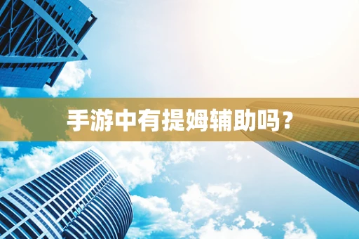 手游中有提姆辅助吗？
