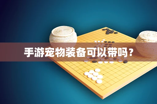 手游宠物装备可以带吗？