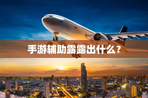 手游辅助露露出什么？