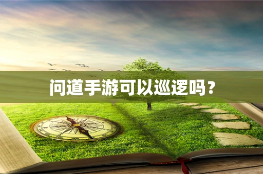 问道手游可以巡逻吗？