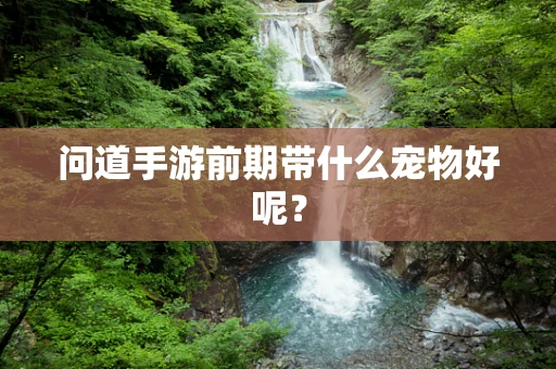问道手游前期带什么宠物好呢？