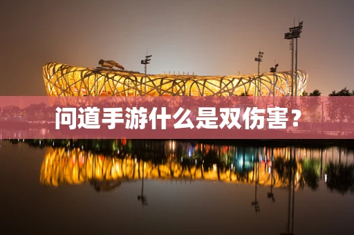 问道手游什么是双伤害？