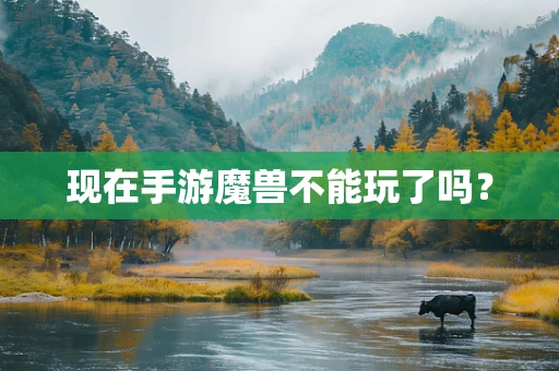 现在手游魔兽不能玩了吗？
