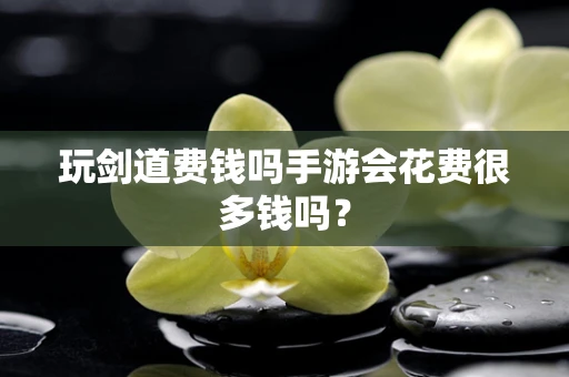玩剑道费钱吗手游会花费很多钱吗？