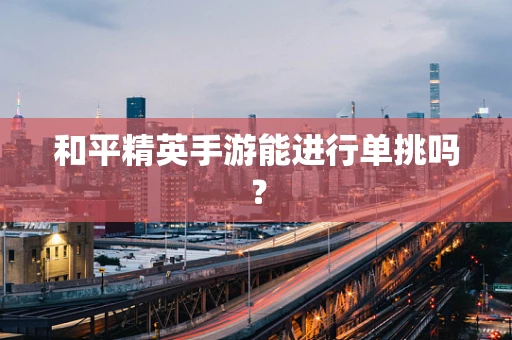 和平精英手游能进行单挑吗？