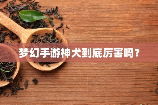 梦幻手游神犬到底厉害吗？
