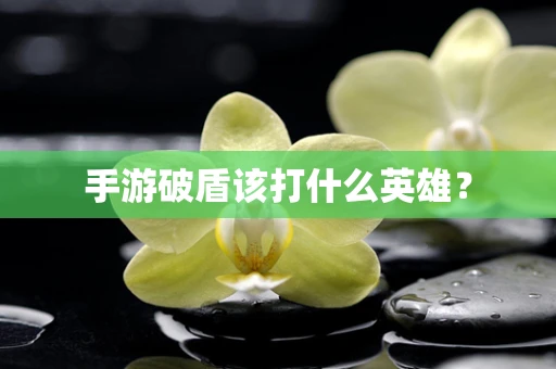 手游破盾该打什么英雄？