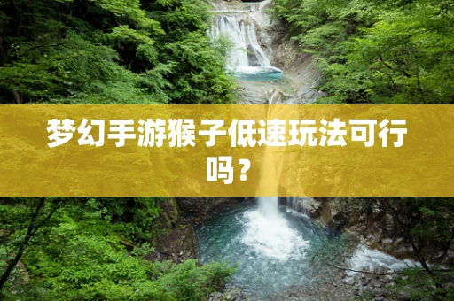 梦幻手游猴子低速玩法可行吗？