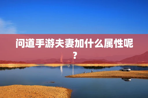 问道手游夫妻加什么属性呢？