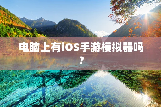 电脑上有iOS手游模拟器吗？