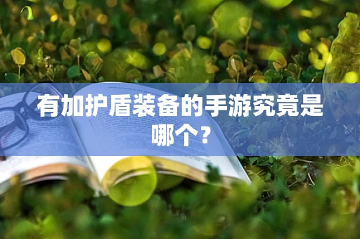 有加护盾装备的手游究竟是哪个？