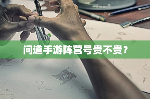 问道手游阵营号贵不贵？
