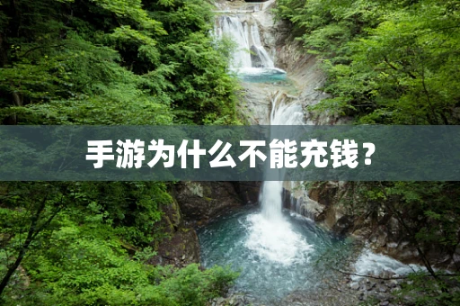 手游为什么不能充钱？