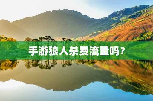 手游狼人杀费流量吗？