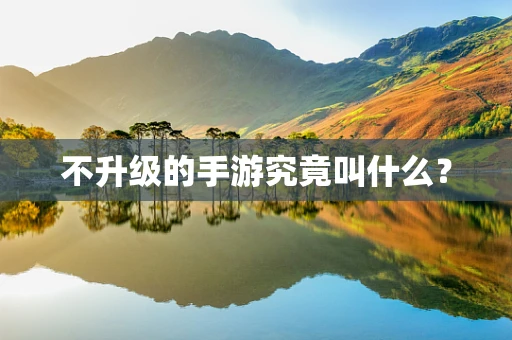不升级的手游究竟叫什么？