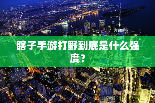 瞎子手游打野到底是什么强度？
