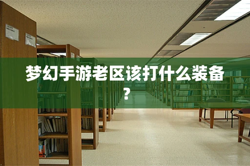 梦幻手游老区该打什么装备？