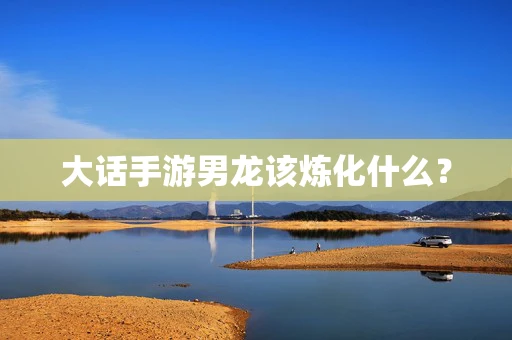 大话手游男龙该炼化什么？