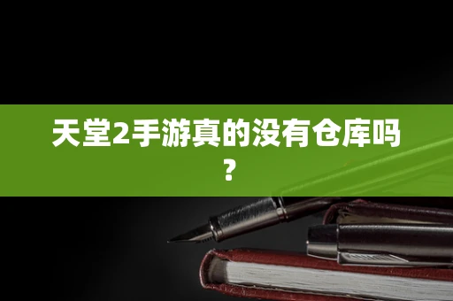 天堂2手游真的没有仓库吗？