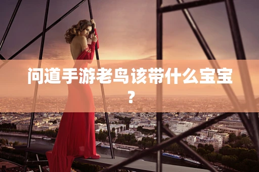 问道手游老鸟该带什么宝宝？