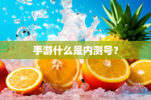 手游什么是内测号？