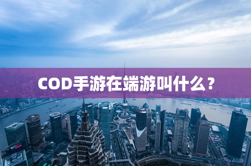 COD手游在端游叫什么？