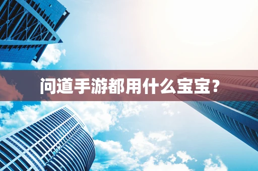 问道手游都用什么宝宝？