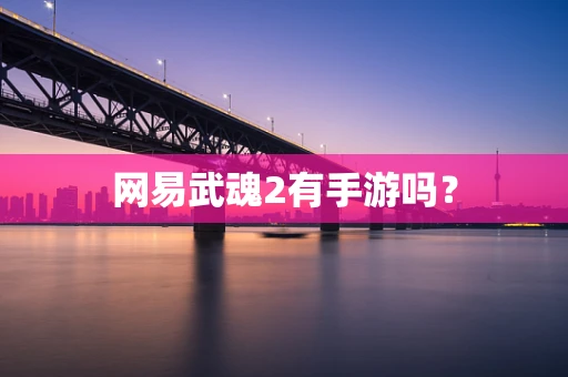 网易武魂2有手游吗？