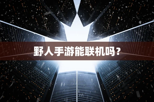 野人手游能联机吗？