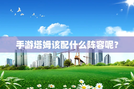 手游塔姆该配什么阵容呢？
