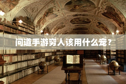 问道手游穷人该用什么宠？
